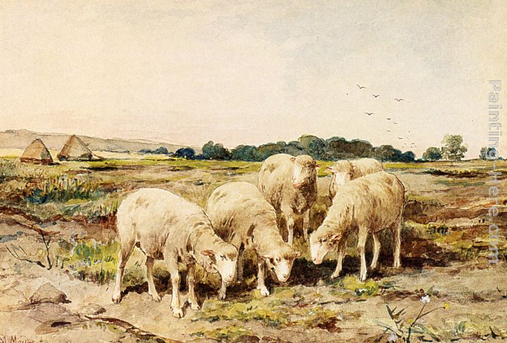 Grazing Sheep painting - Anton Mauve Grazing Sheep art painting